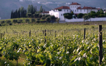 Casa da Quinta de Tourais