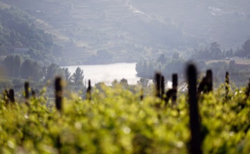 Rio Douro